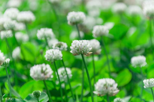 如果無可選擇，那就欣然接受