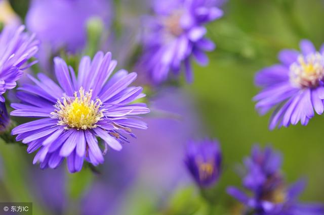 如果無可選擇，那就欣然接受