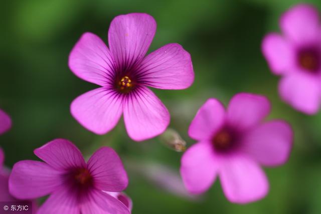 如果無可選擇，那就欣然接受