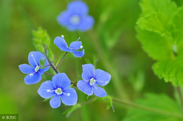 如果無可選擇，那就欣然接受