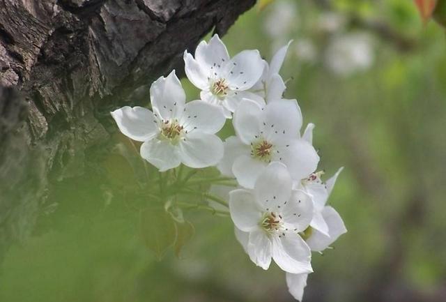 有一種修養叫：你若安好，我不打擾