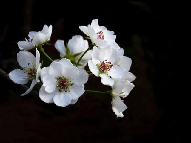 有一種修養叫：你若安好，我不打擾