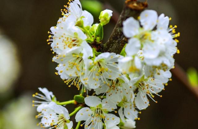 有一種修養叫：你若安好，我不打擾