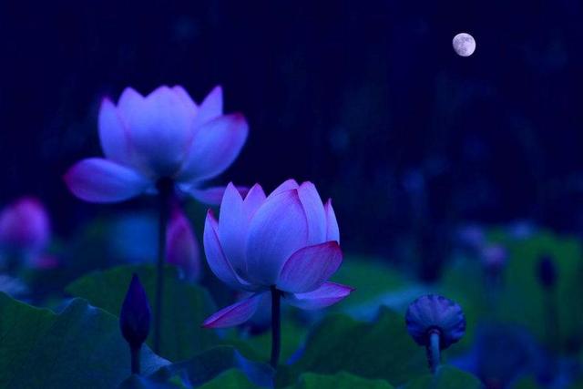 沒有這三樣東西，你贏了全世界，又如何