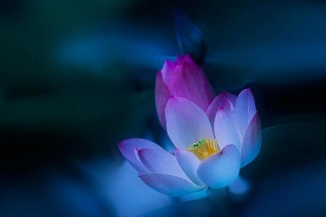 沒有這三樣東西，你贏了全世界，又如何