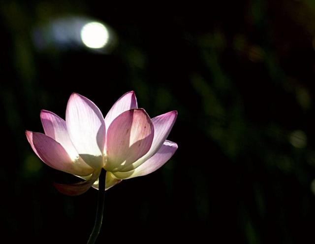 沒有這三樣東西，你贏了全世界，又如何