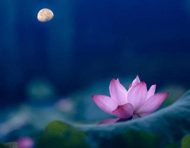 沒有這三樣東西，你贏了全世界，又如何