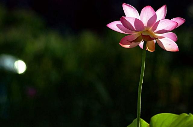 沒有這三樣東西，你贏了全世界，又如何