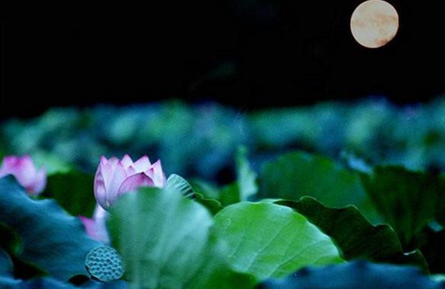 沒有這三樣東西，你贏了全世界，又如何