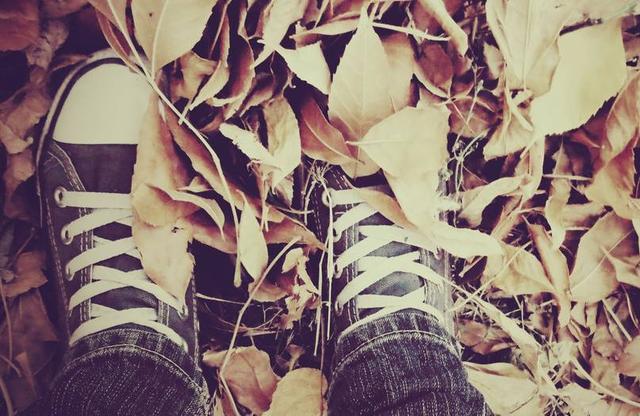 真情不僅是陪伴，更會住進你心裡的星座