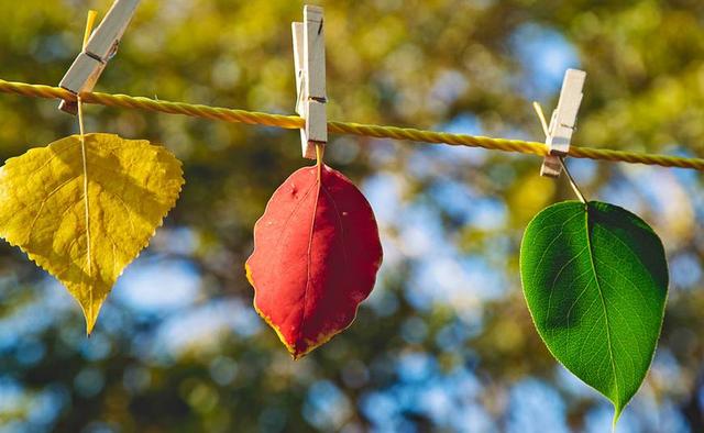 真情不僅是陪伴，更會住進你心裡的星座