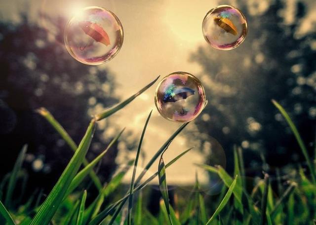 真情不僅是陪伴，更會住進你心裡的星座