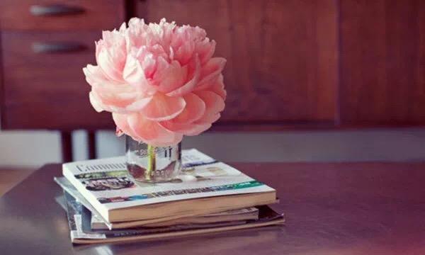 珍惜那個為你放下脾氣的人