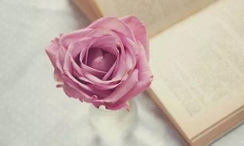 珍惜那個為你放下脾氣的人