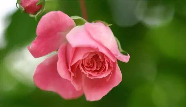 珍惜那個為你放下脾氣的人