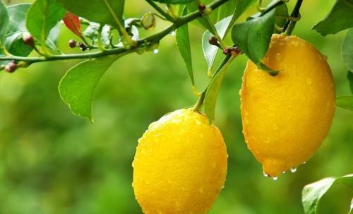 口甜、口酸、口辣、口淡、口咸、口膩、口苦暗示五臟功能失調