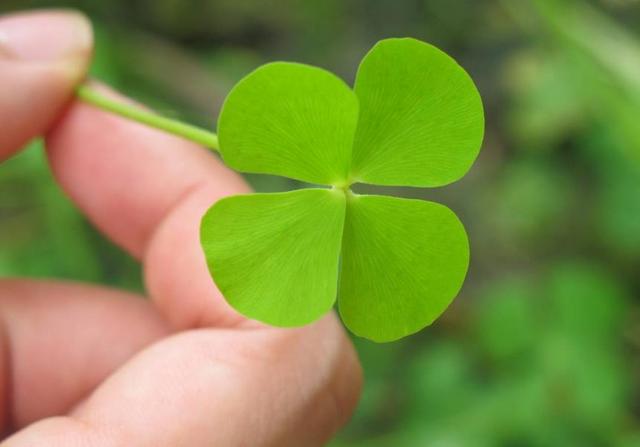 真正有福氣的人，都很善良