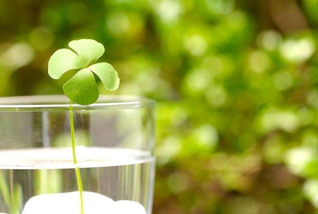 真正有福氣的人，都很善良