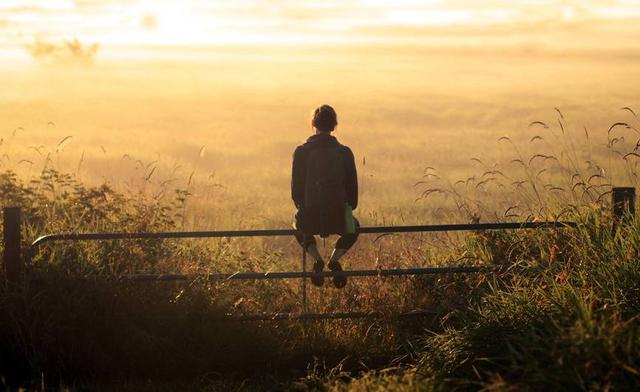 感情升溫很快，降溫也很快的星座