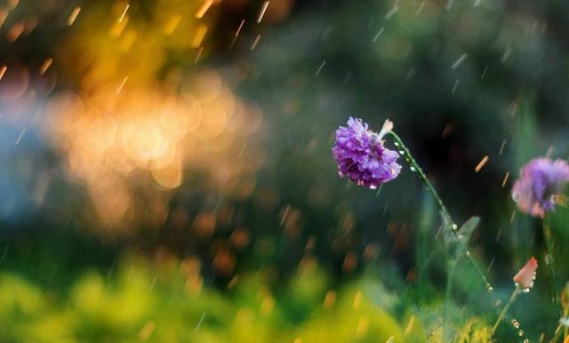 感情升溫很快，降溫也很快的星座