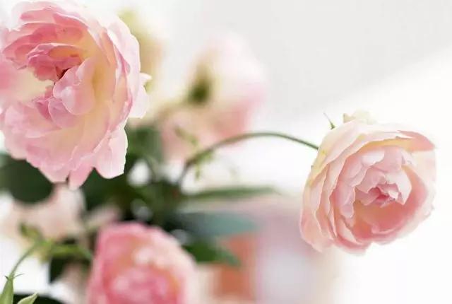 交人交心，知情知恩