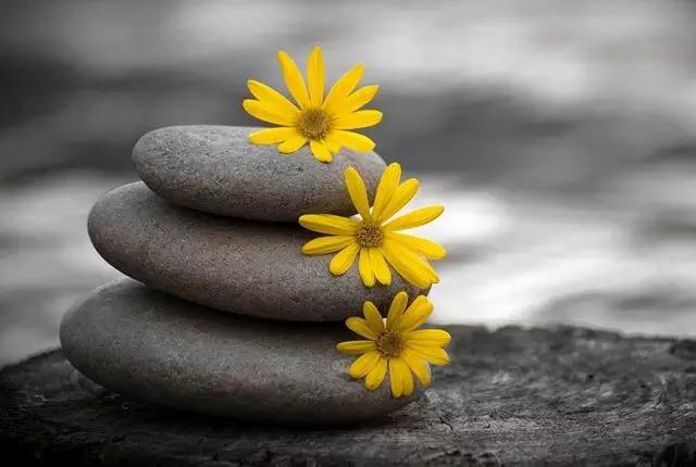 生氣時，別說話（經典）