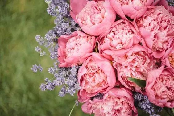 半年已過，致愛我的人和我愛的人