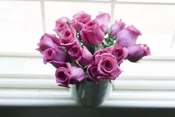 半年已過，致愛我的人和我愛的人