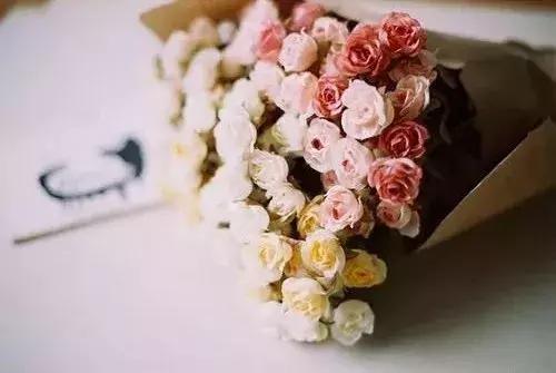 半年已過，致愛我的人和我愛的人