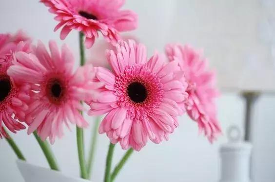 半年已過，致愛我的人和我愛的人