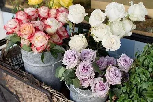 半年已過，致愛我的人和我愛的人