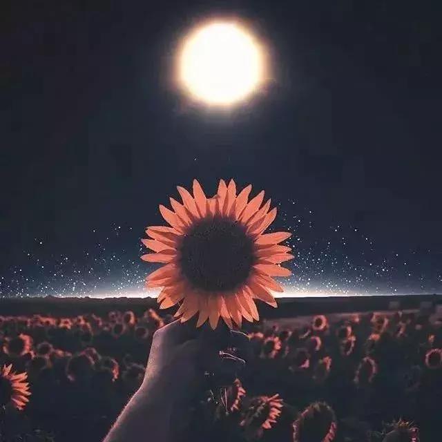 自己的心事自己懂！