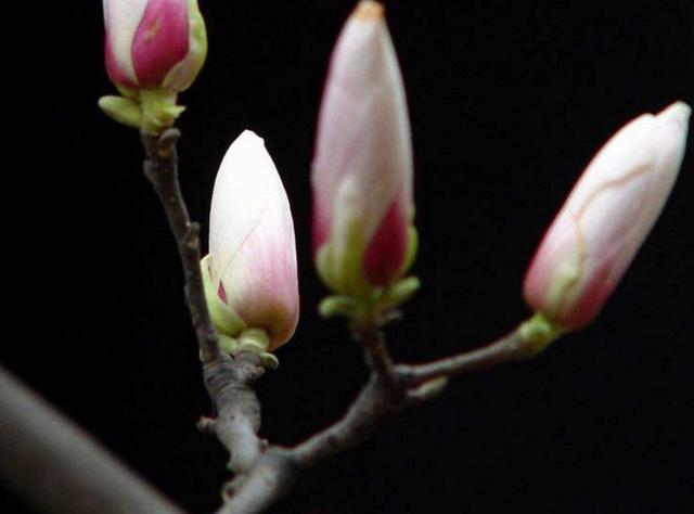 有些滄桑，自己懂，就好