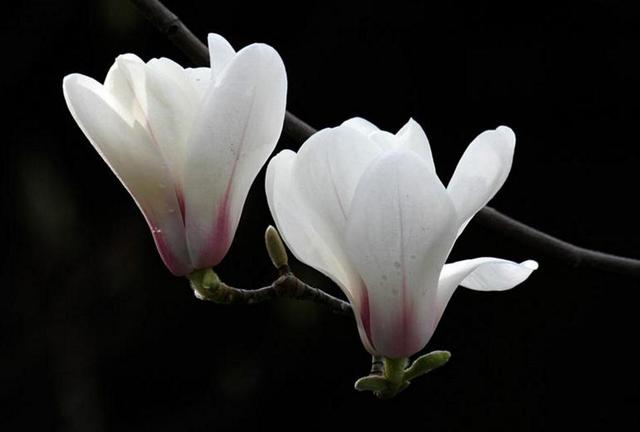 有些滄桑，自己懂，就好