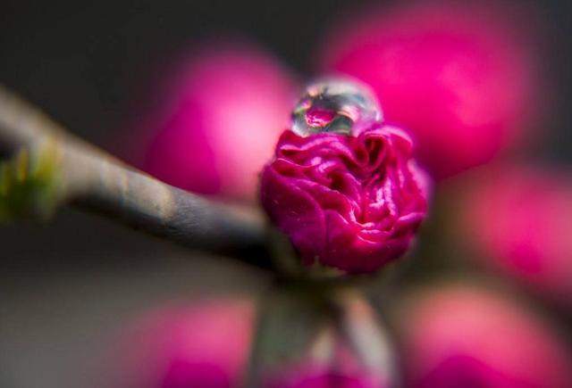 人到六十，心安，即是福