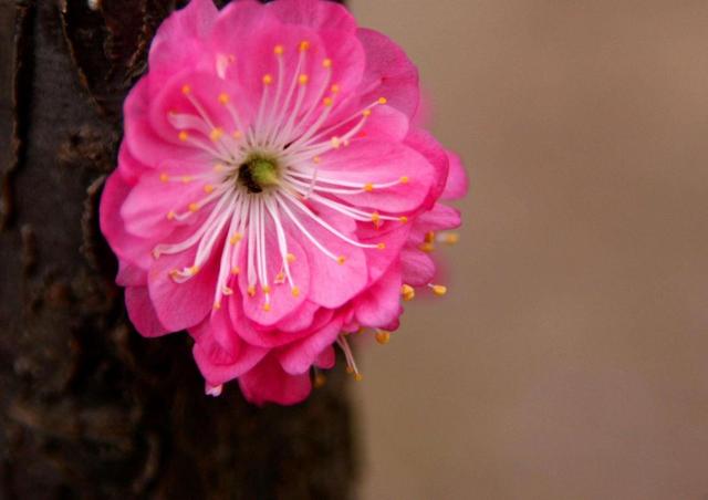 人到六十，心安，即是福