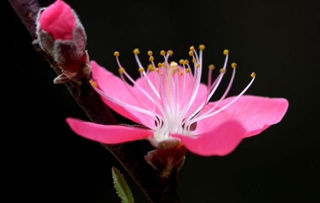 人到六十，心安，即是福