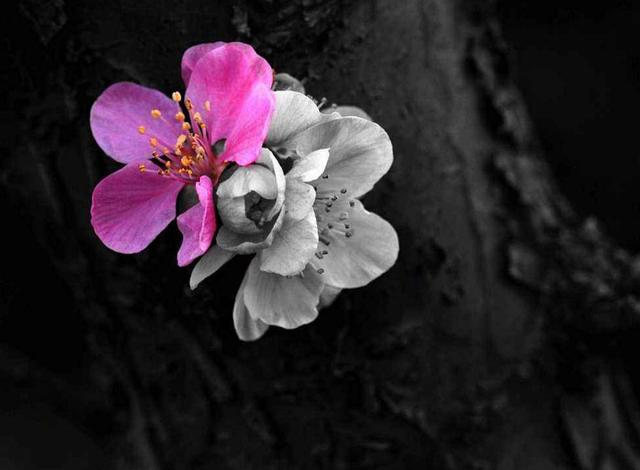 人到六十，心安，即是福