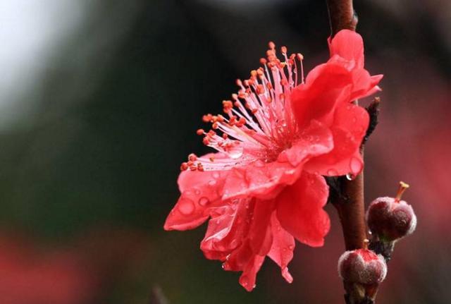 人到六十，心安，即是福