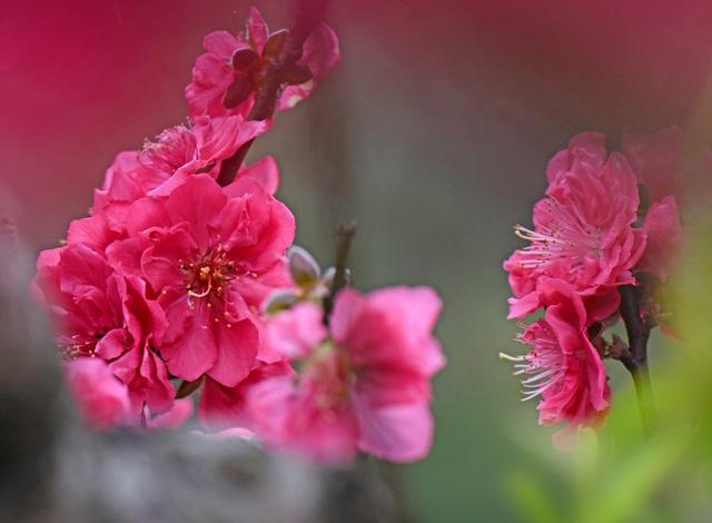 人到六十，心安，即是福