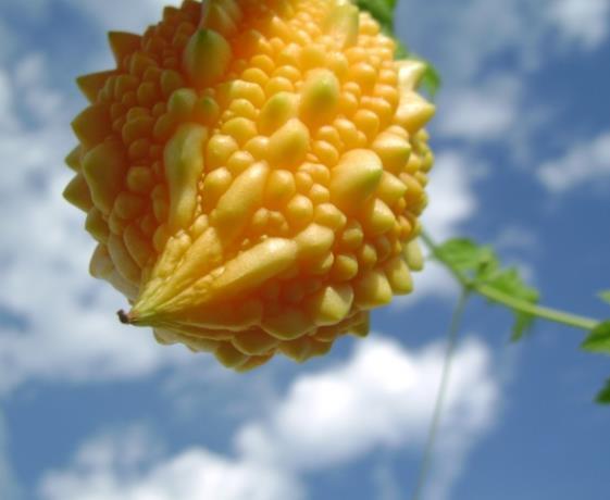 做人簡單，往往是大智之人