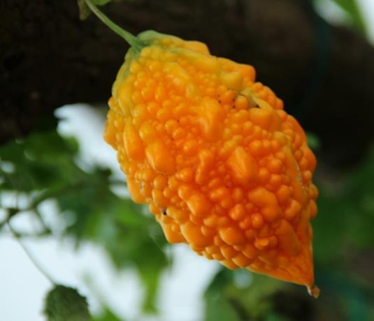 做人簡單，往往是大智之人