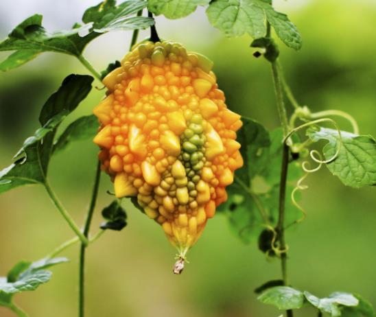 做人簡單，往往是大智之人