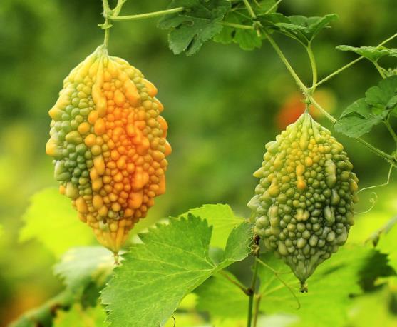 做人簡單，往往是大智之人