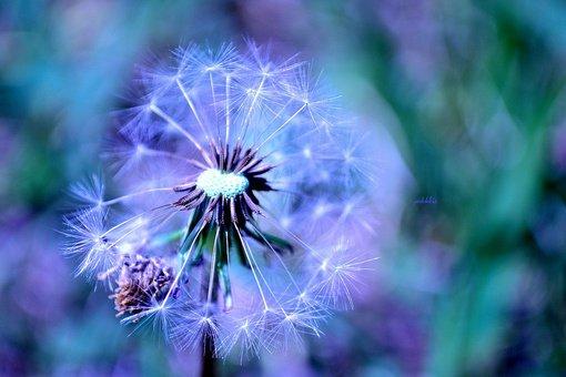 一句話經典心情語錄配圖，拿去發朋友圈吧！