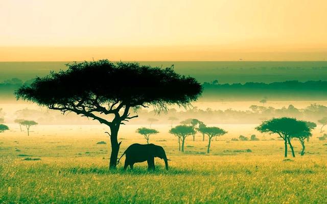 成功源於實力，好運來自勤奮