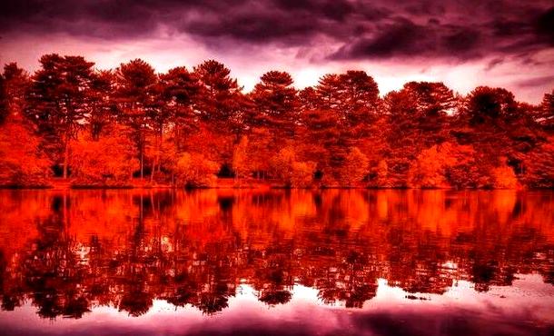 成功源於實力，好運來自勤奮