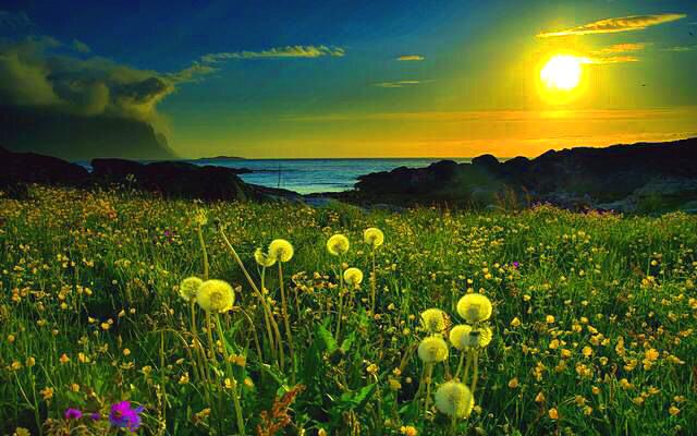 成功源於實力，好運來自勤奮