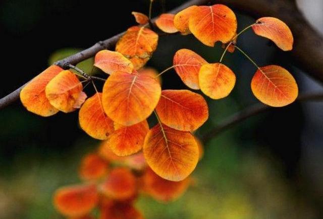 當你老了，誰將是你身邊最重要的那個人？ （感悟美文）