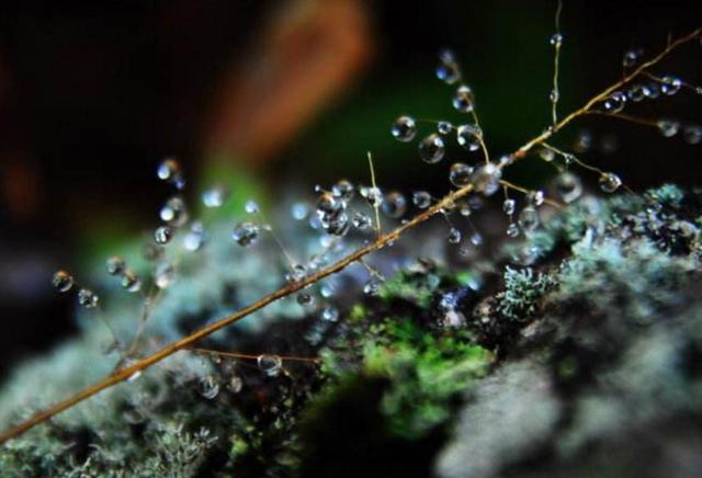 當你老了，誰將是你身邊最重要的那個人？ （感悟美文）